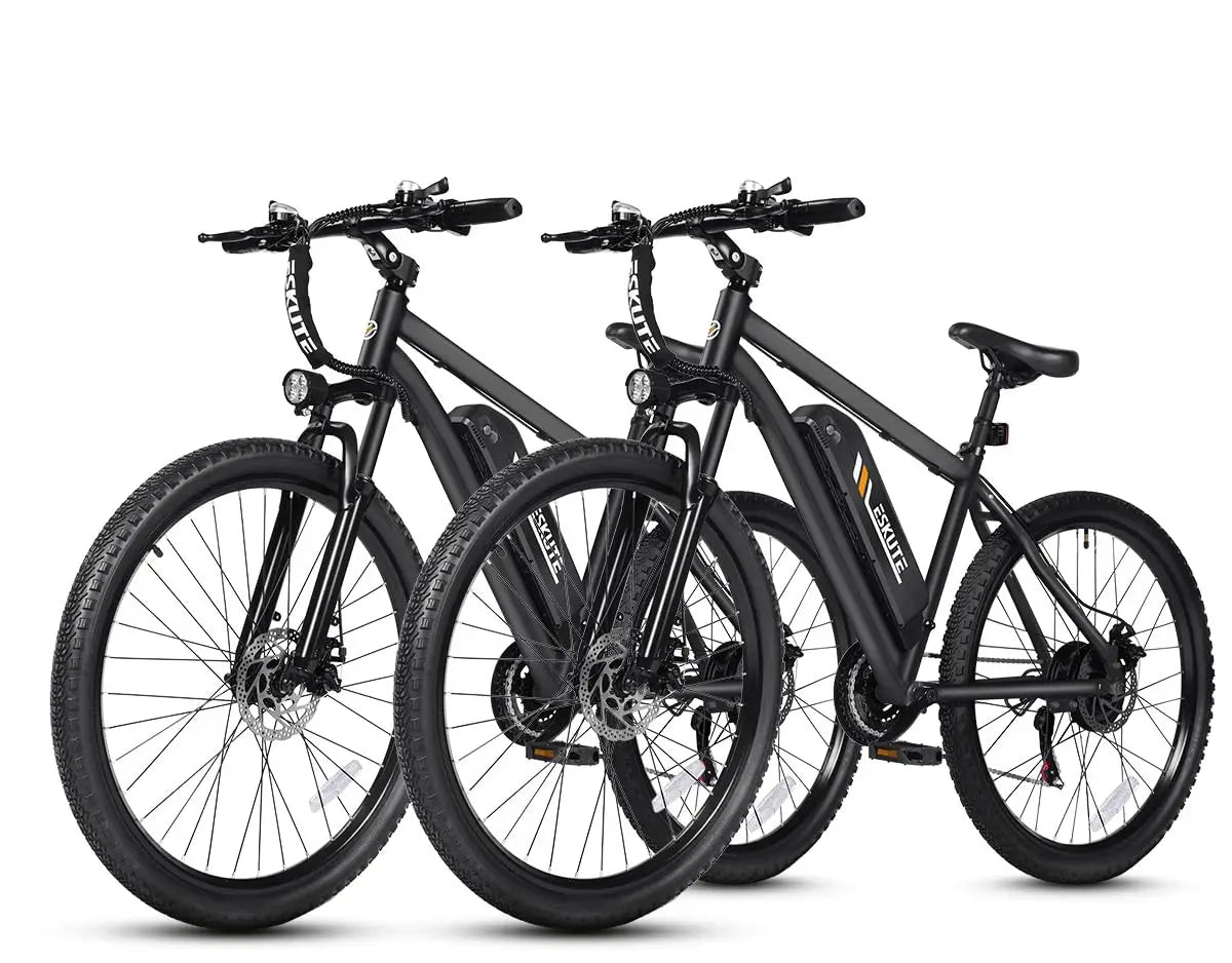 Professional Electric Mountain Bike Equipped With 1200 Watt Motor