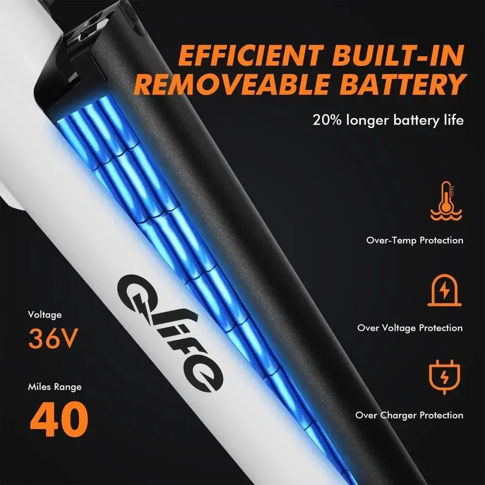 Premium Step Through Electric Bike With Powerful 1000W Motor