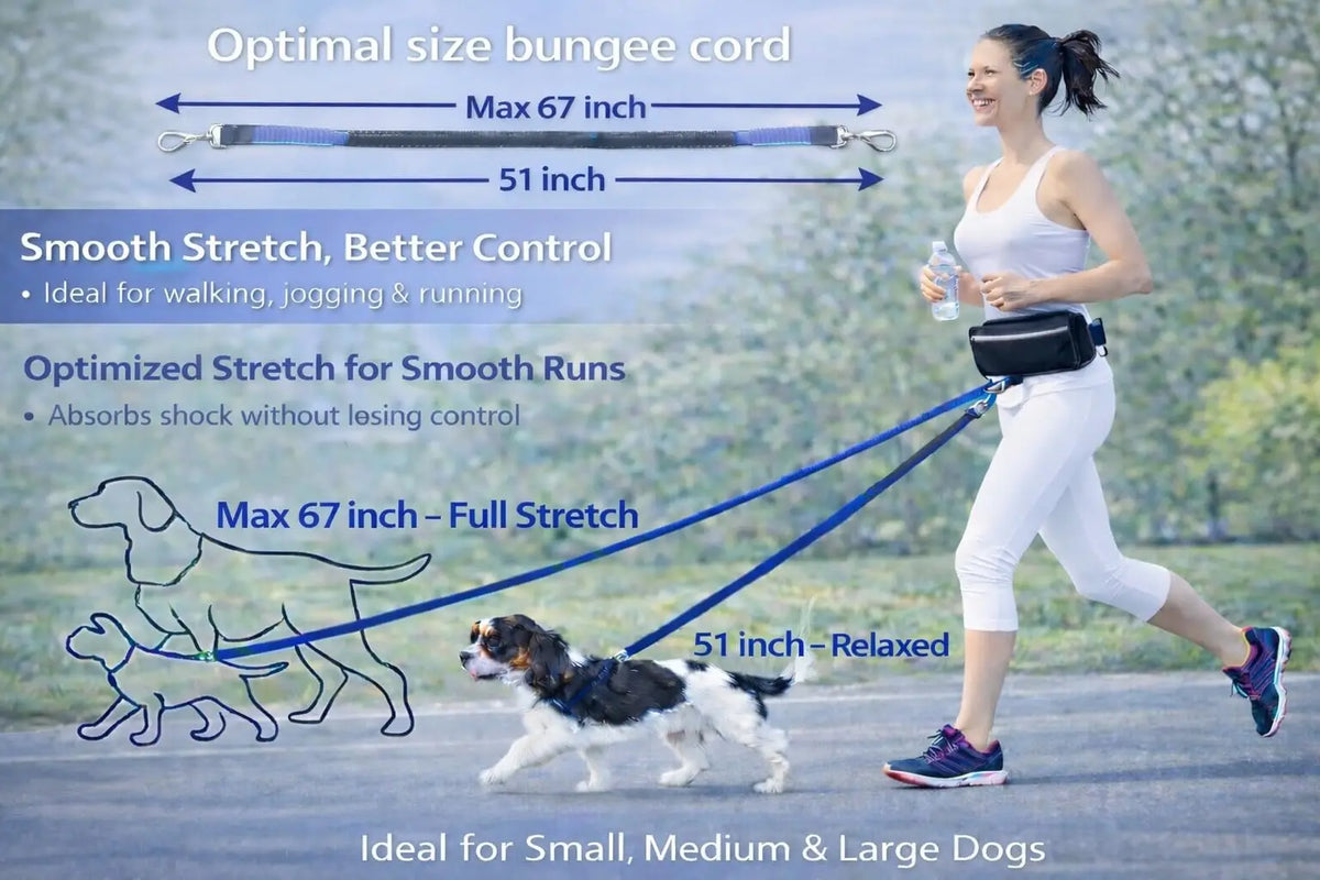 Hands Free Dog Leash With Reflective Waist Belt And Pouch