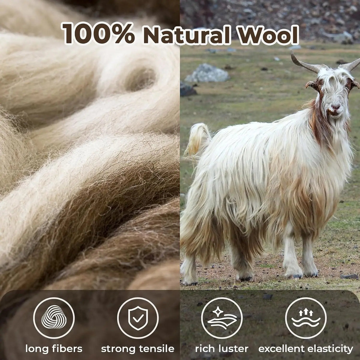 Handwoven Natural Wool Area Rug With Plant Pattern Design