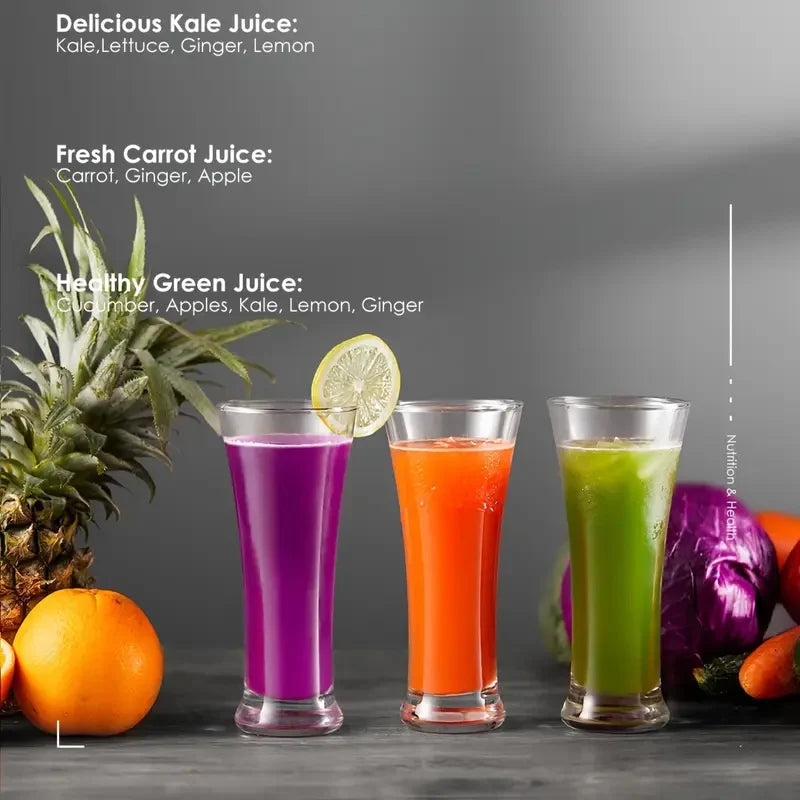 Automatic Wide Mouth Juicer Machine With Three Speed Settings