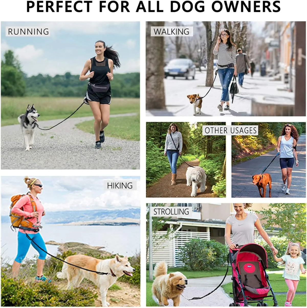 Hands Free Dog Leash With Reflective Waist Belt And Pouch