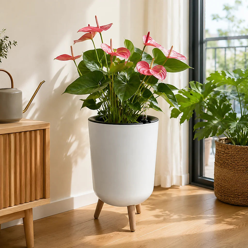 Modern Self Watering Elevated Planter With Clear Water Level Indicator