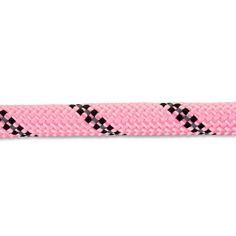 Neoprene Cushioned Handle Dog Leash For Comfortable Walks