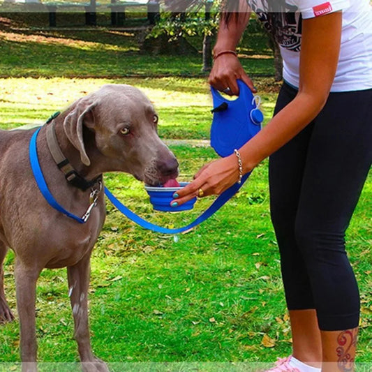 Retractable Dog Leash With Water Bottle And Waste Bag Dispenser